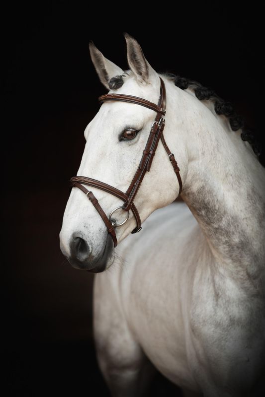 HODELAG LIPPO SELECTED FANCY SLIM