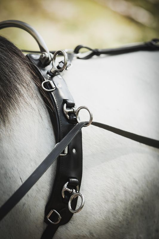 TOMMEKJØRNINGSGJORD LIPPO KOMPLETT