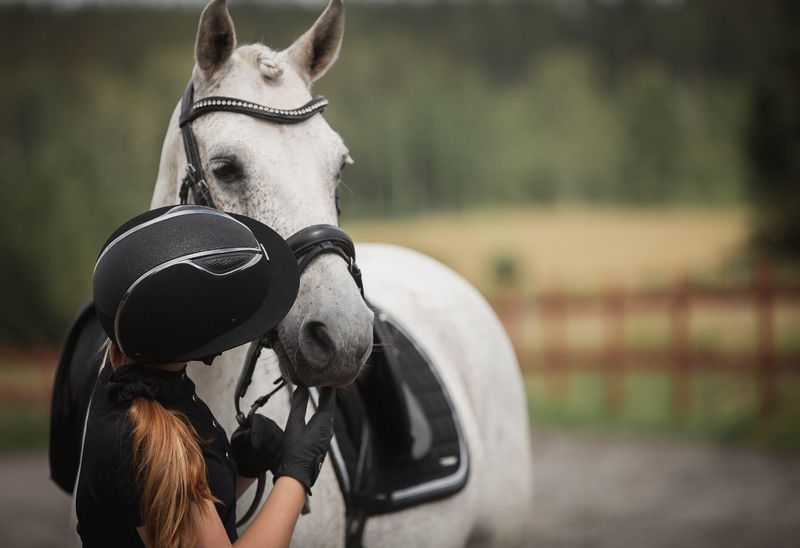 SCHABRAK SPARKLING DRESSUR