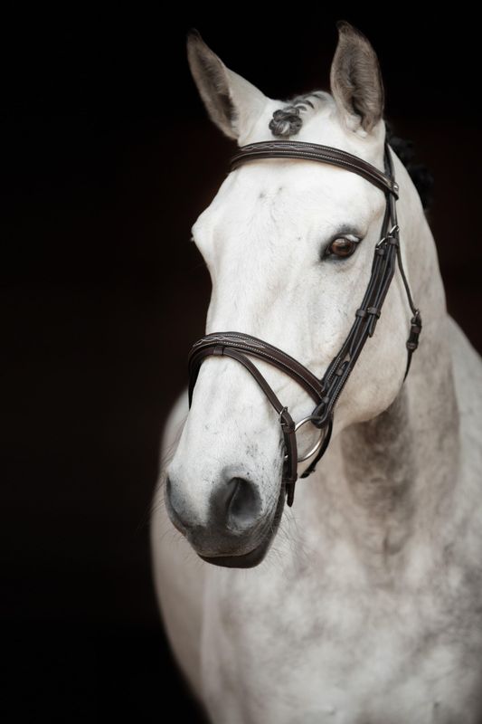 HODELAG KNIGHTS SIR PATRIC