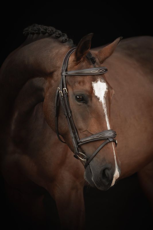 TRÄNS LIPPO SUPREME