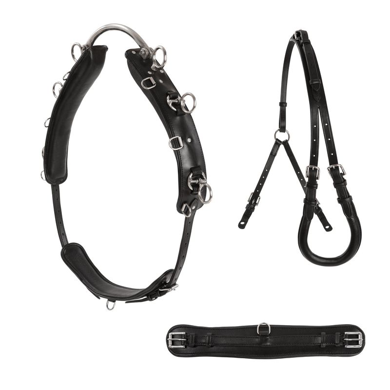 TOMMEKJØRNINGSGJORD LIPPO KOMPLETT