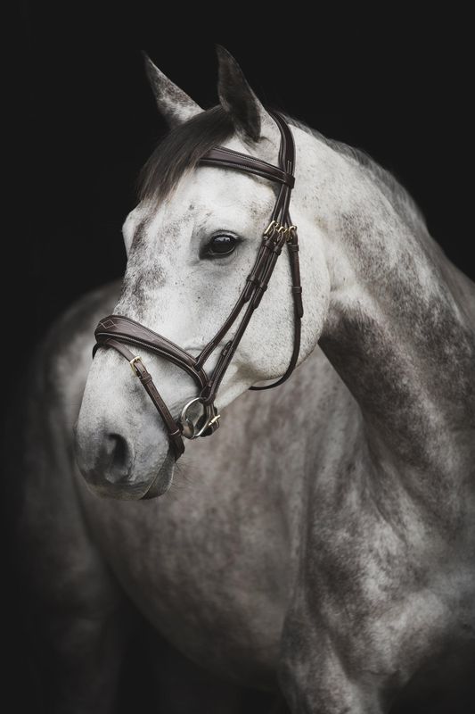 TRÄNS LIPPO SUPREME