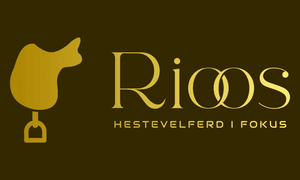 Rioos