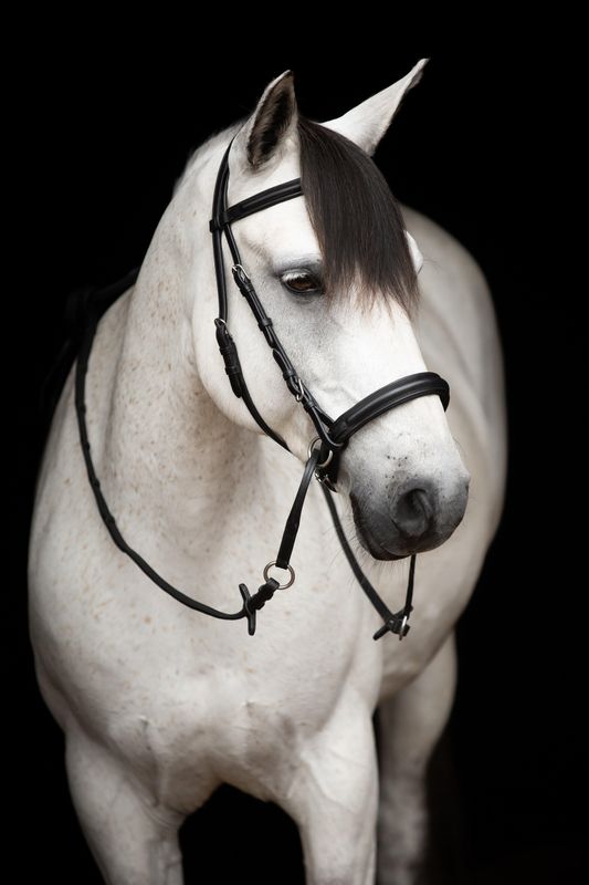 TRÄNS LIPPO SUPREME