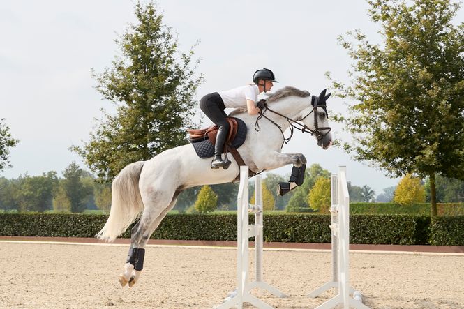 Hovedbilde KL Kimi A shape Mid Waist Ridebukser